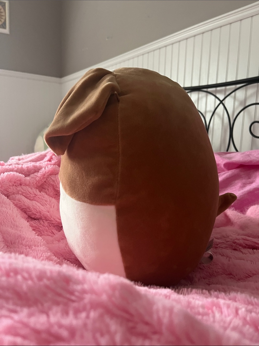 Squishmallows Brenden - 12 inch Plush Brown & White Dog Pillow - Picture 2 of 6